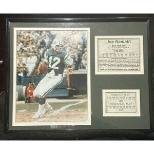 Joe Namath New York Jets 11" x 14" Photo & Stats Matted & Framed Display